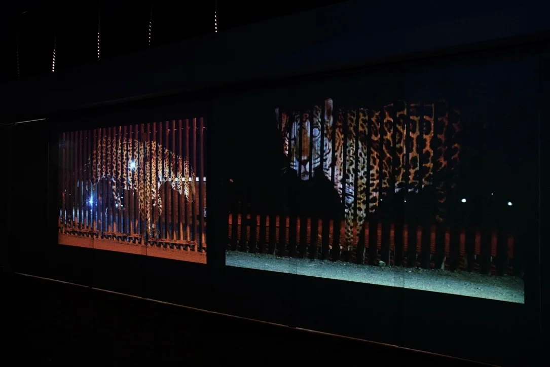 Tension and Territory , Installation view: Un-Fragmenting/Des-Fragmentando , Mesa Community College Gallery, Mesa, Arizona, 2017 Photo Credit: Kendra Sollars