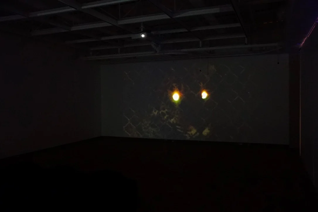 Tension and Territory , Installation view: Wild/Captive , Mesa Community College Gallery, Mesa, Arizona, 2017 Photo Credit: Kendra Sollars