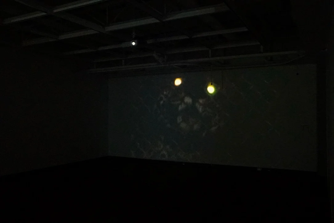 Tension and Territory , Installation view: Wild/Captive , Mesa Community College Gallery, Mesa, Arizona, 2017 Photo Credit: Kendra Sollars