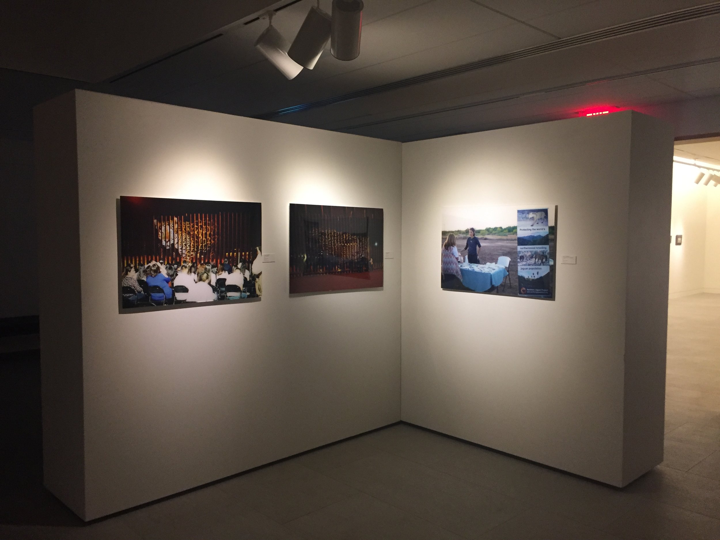 Confrontation , Installation view: Image triptych from Un-Fragmenting/Des-Fragmentando , Mary Blanton Kennedy Gallery, Museum of the Southwest, Midland, Texas, 2017