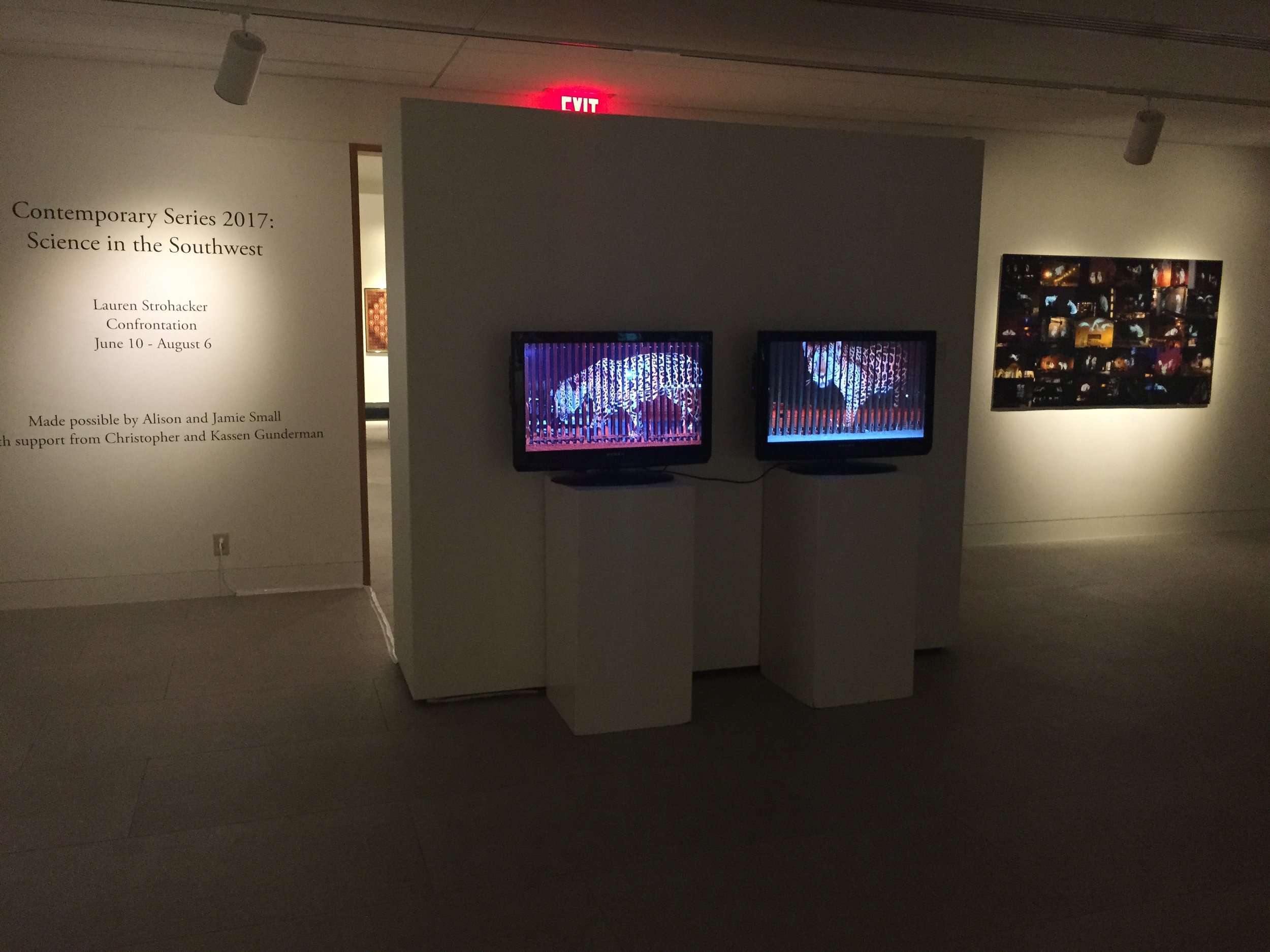 Confrontation , Installation view: Un-Fragmenting/Des-Fragmentando, 2 channel video, Mary Blanton Kennedy Gallery, Museum of the Southwest, Midland, Texas, 2017