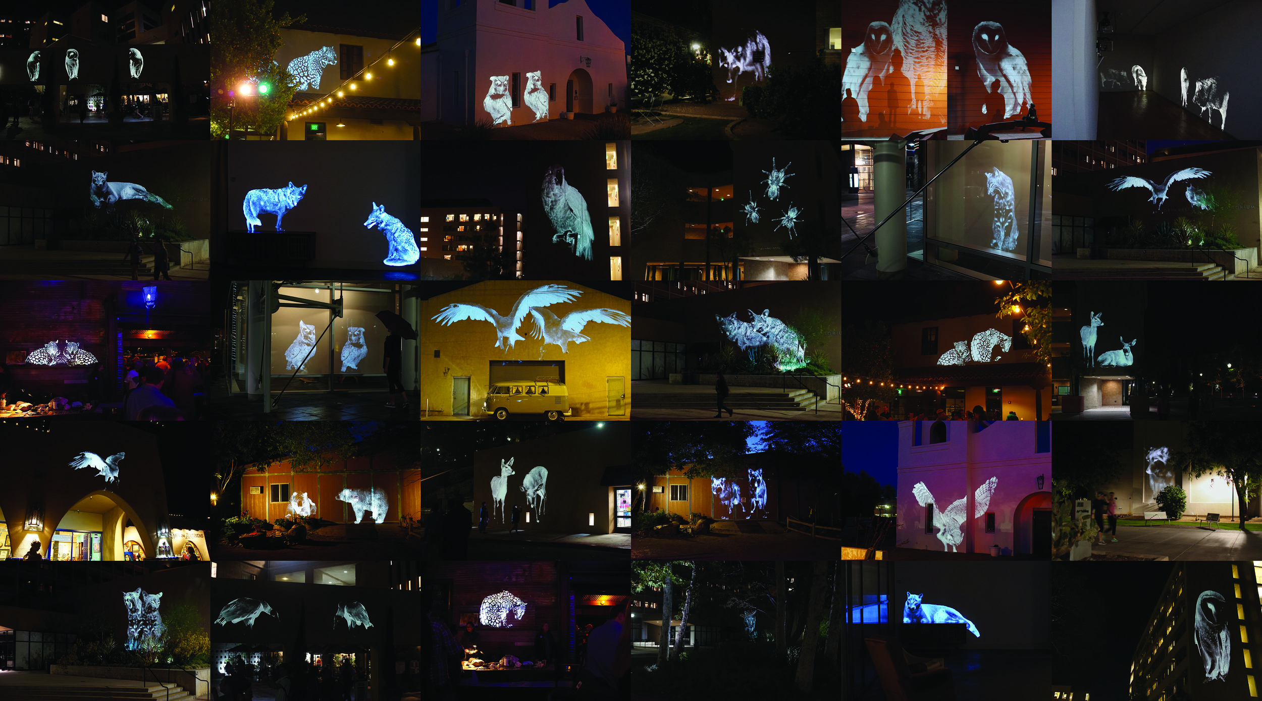 Animal Land: 2013-2016 , 40" x 70", 2017