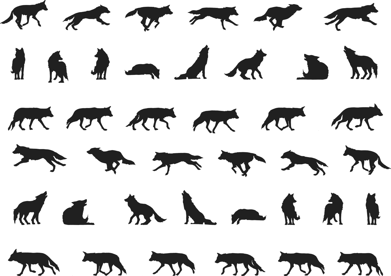 Wolf Host: Midland, Texas, postcard front, 113 cards, 2017