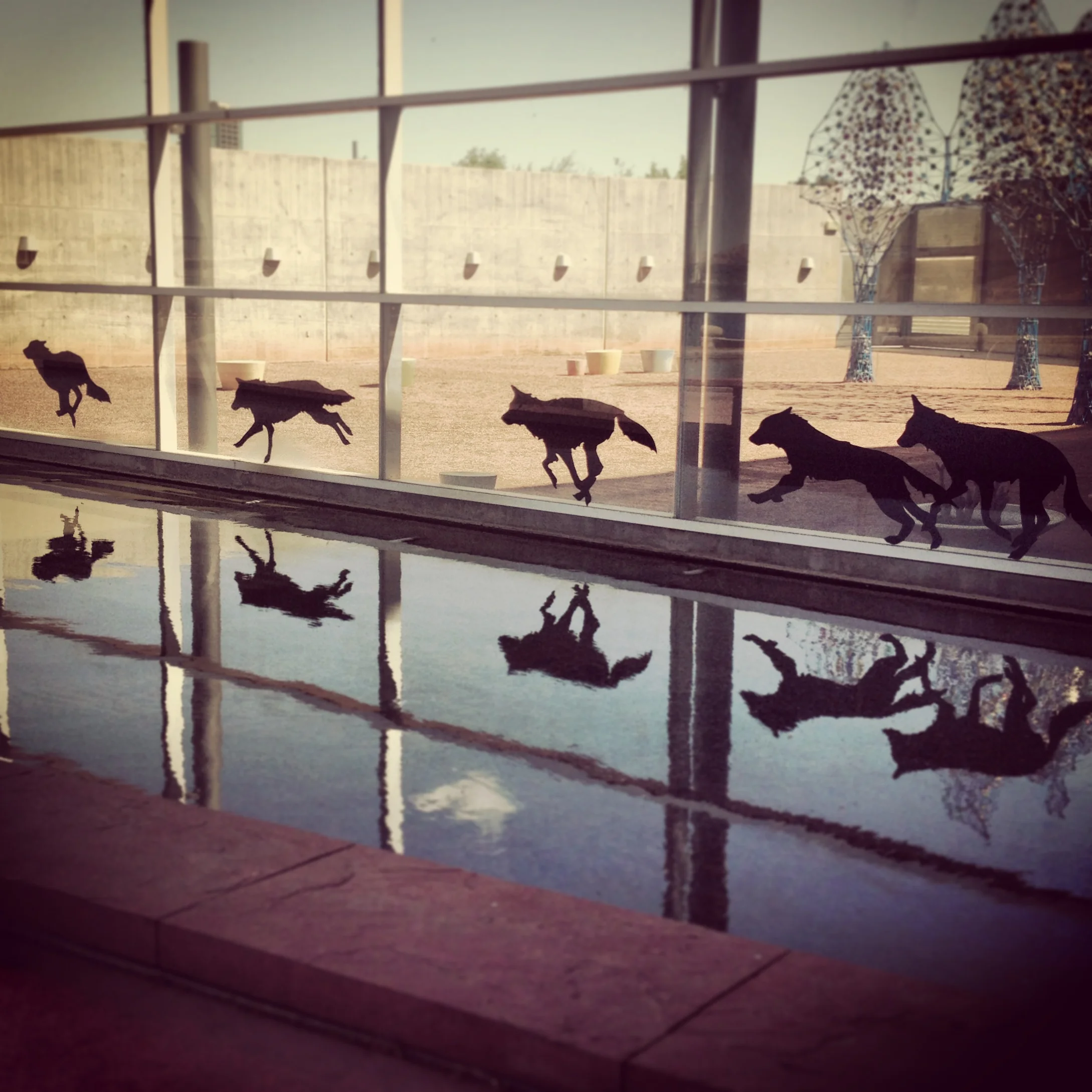Animal Crackers , Installation view: NO(w)HERE , Tempe Center for the Arts, Tempe, Arizona, 2013