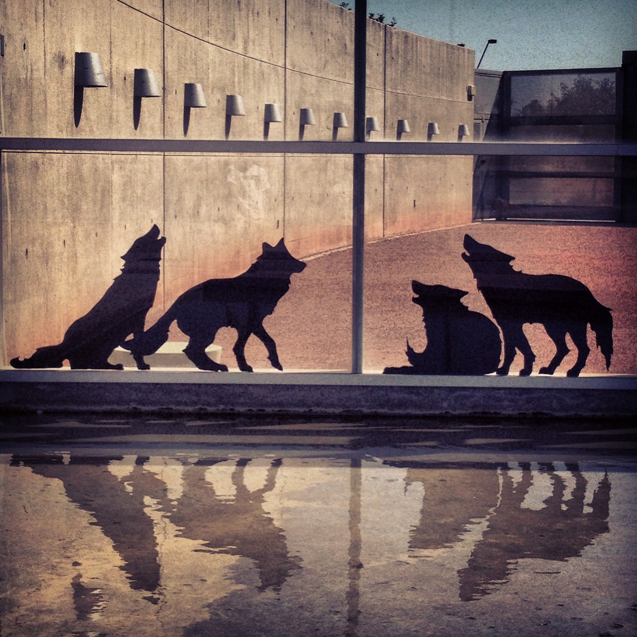   Animal Crackers , Installation view:&nbsp; NO(w)HERE , Tempe Center for the Arts, Tempe, Arizona, 2013 