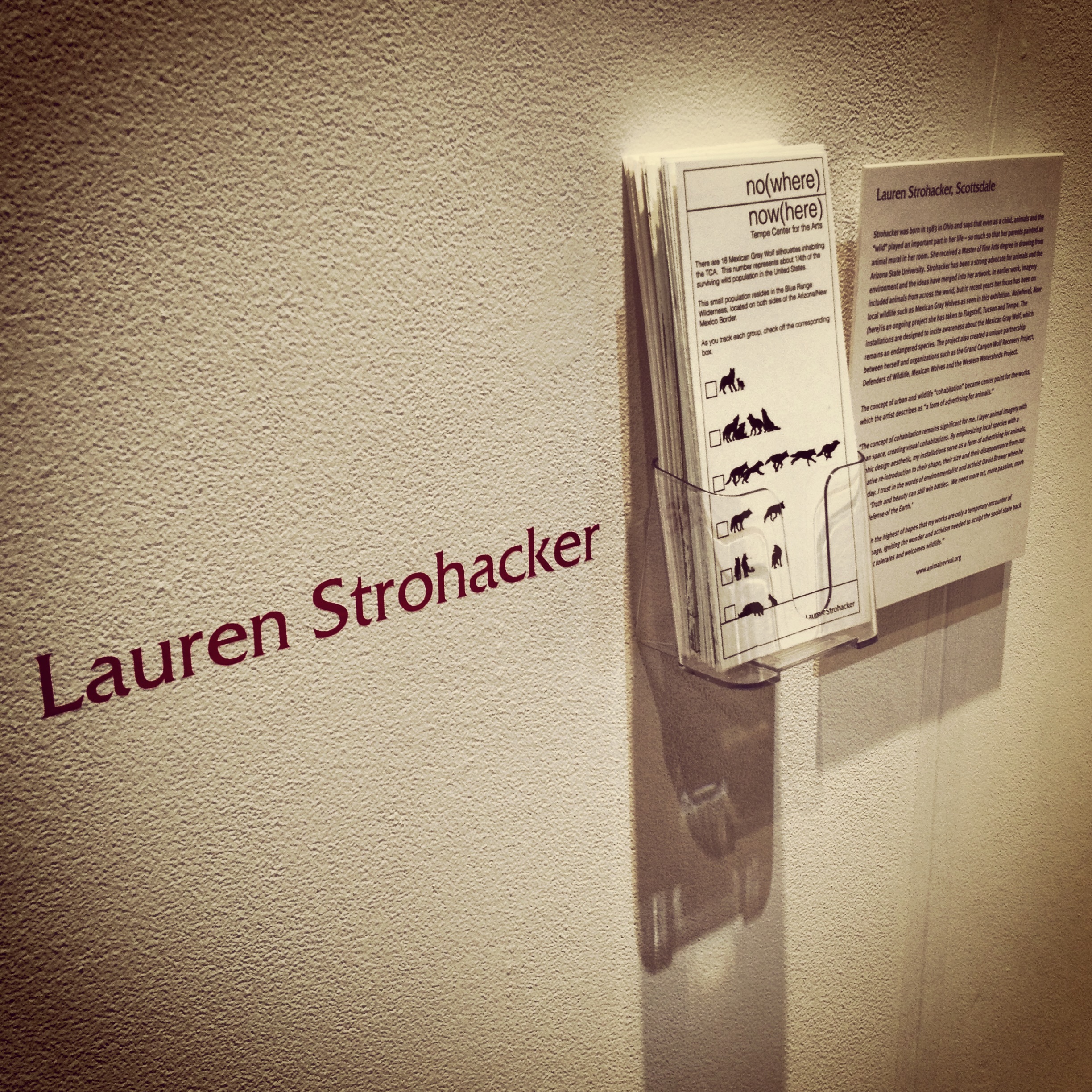   Animal Crackers , Installation view:&nbsp; NO(w)HERE search cards , Tempe Center for the Arts, Tempe, Arizona, 2013 