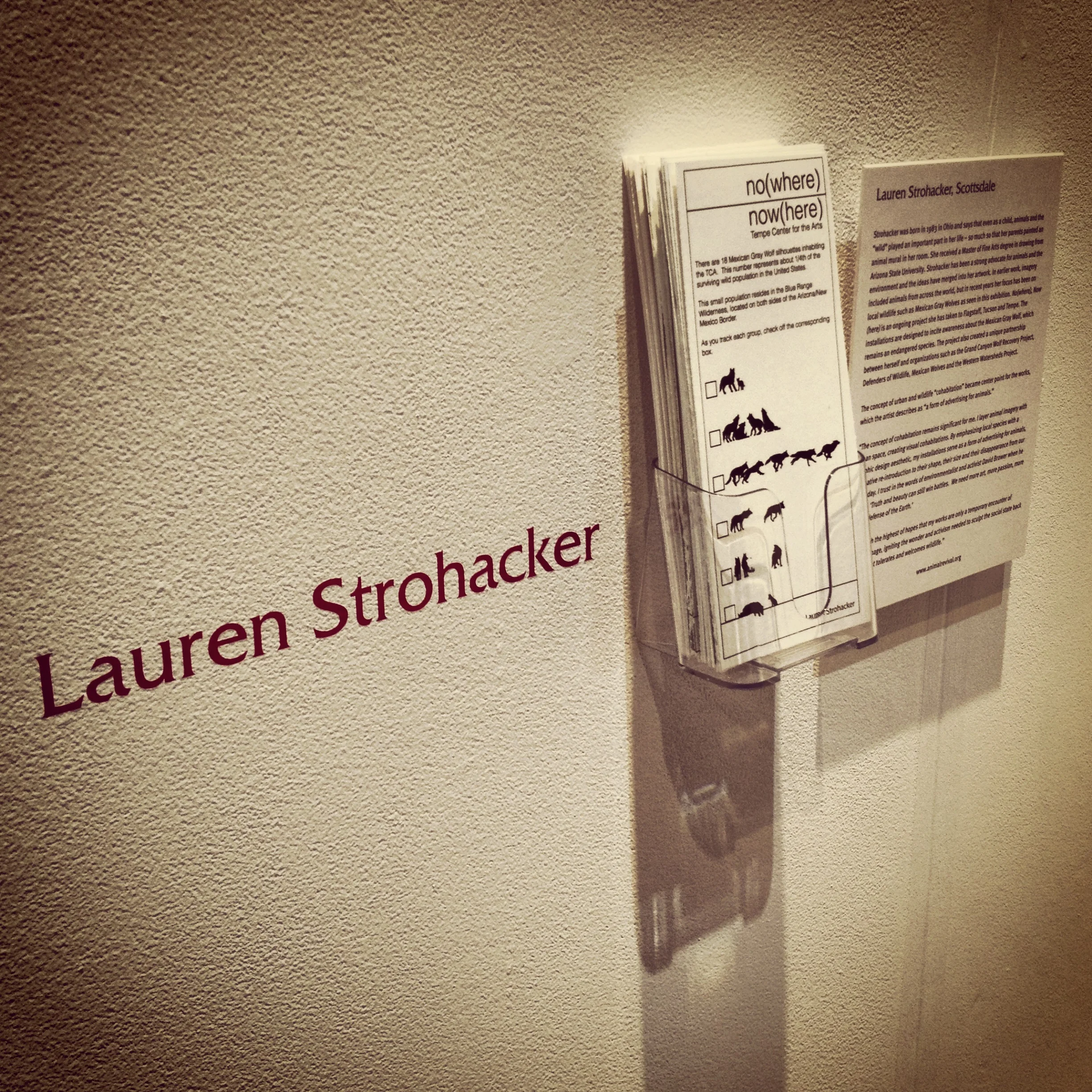 Animal Crackers , Installation view: NO(w)HERE search cards , Tempe Center for the Arts, Tempe, Arizona, 2013