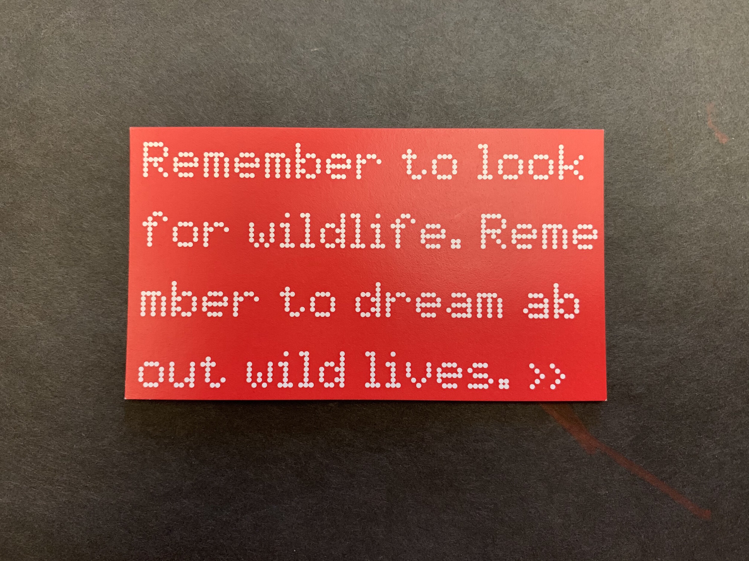   In the Fabric of the Woodland , reminder cards, Shoemaker Gallery, Juniata College Museum of Art, Huntingdon, Pennsylvania, 2019 