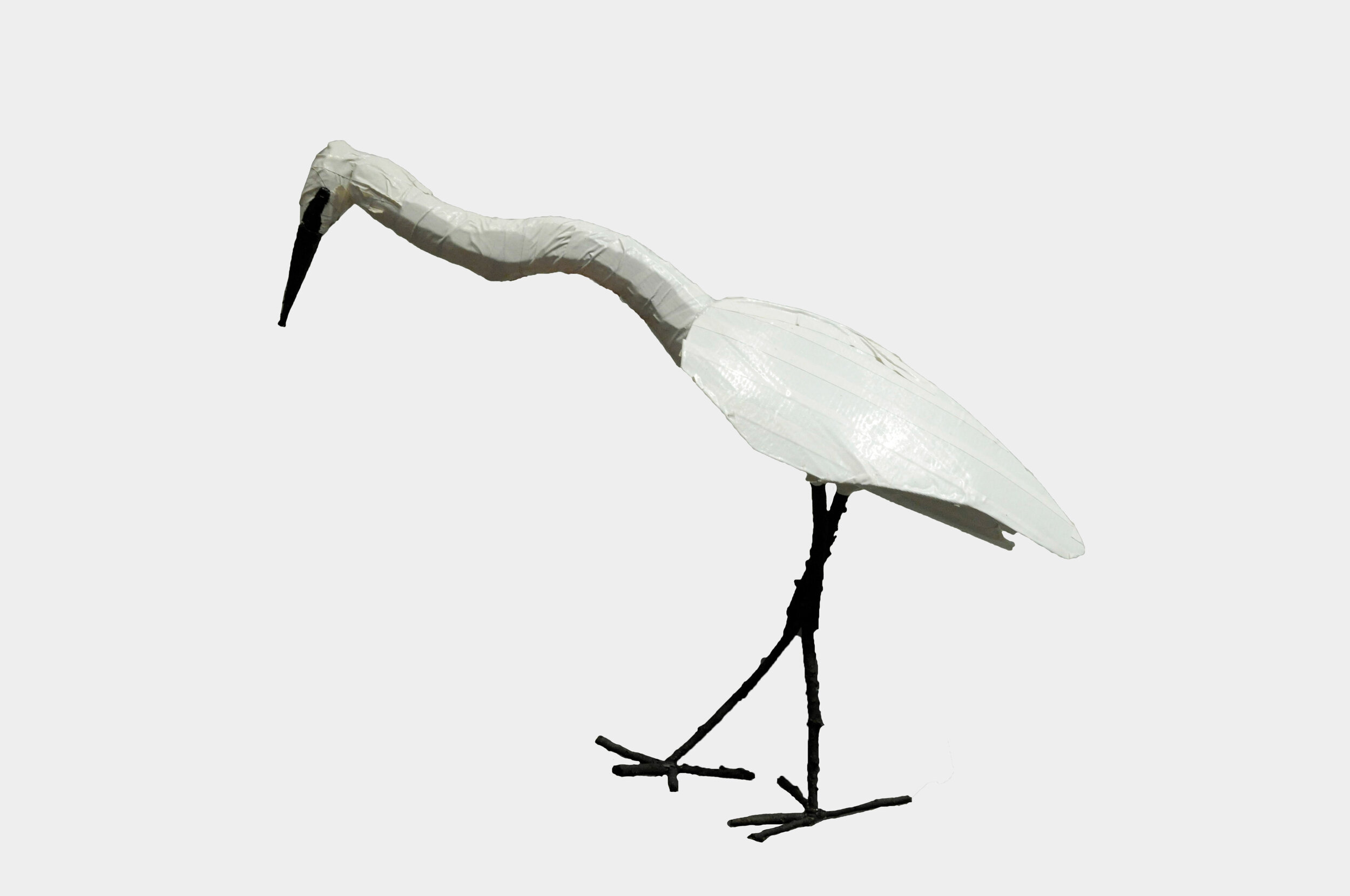 Great Egret by Ben Josefson 
