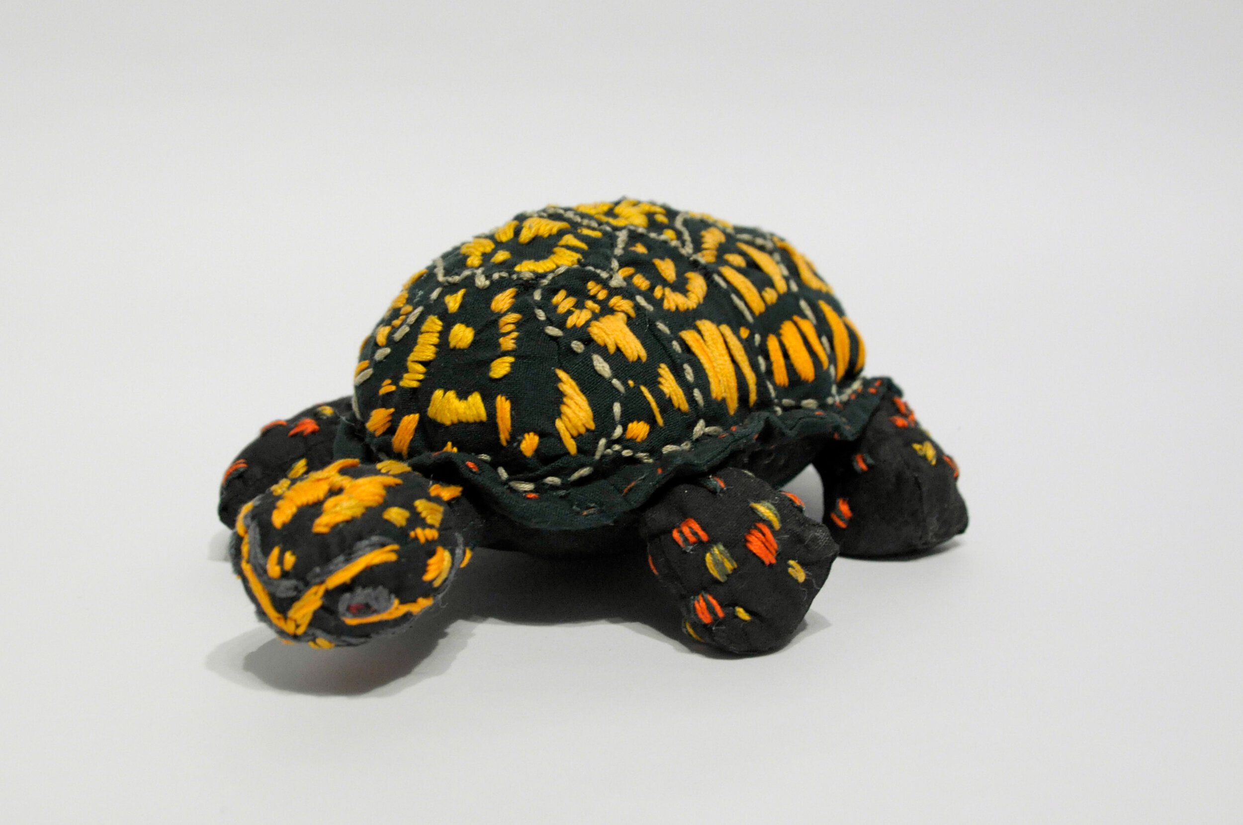  Eastern Box Turtle by Julia Kinney 