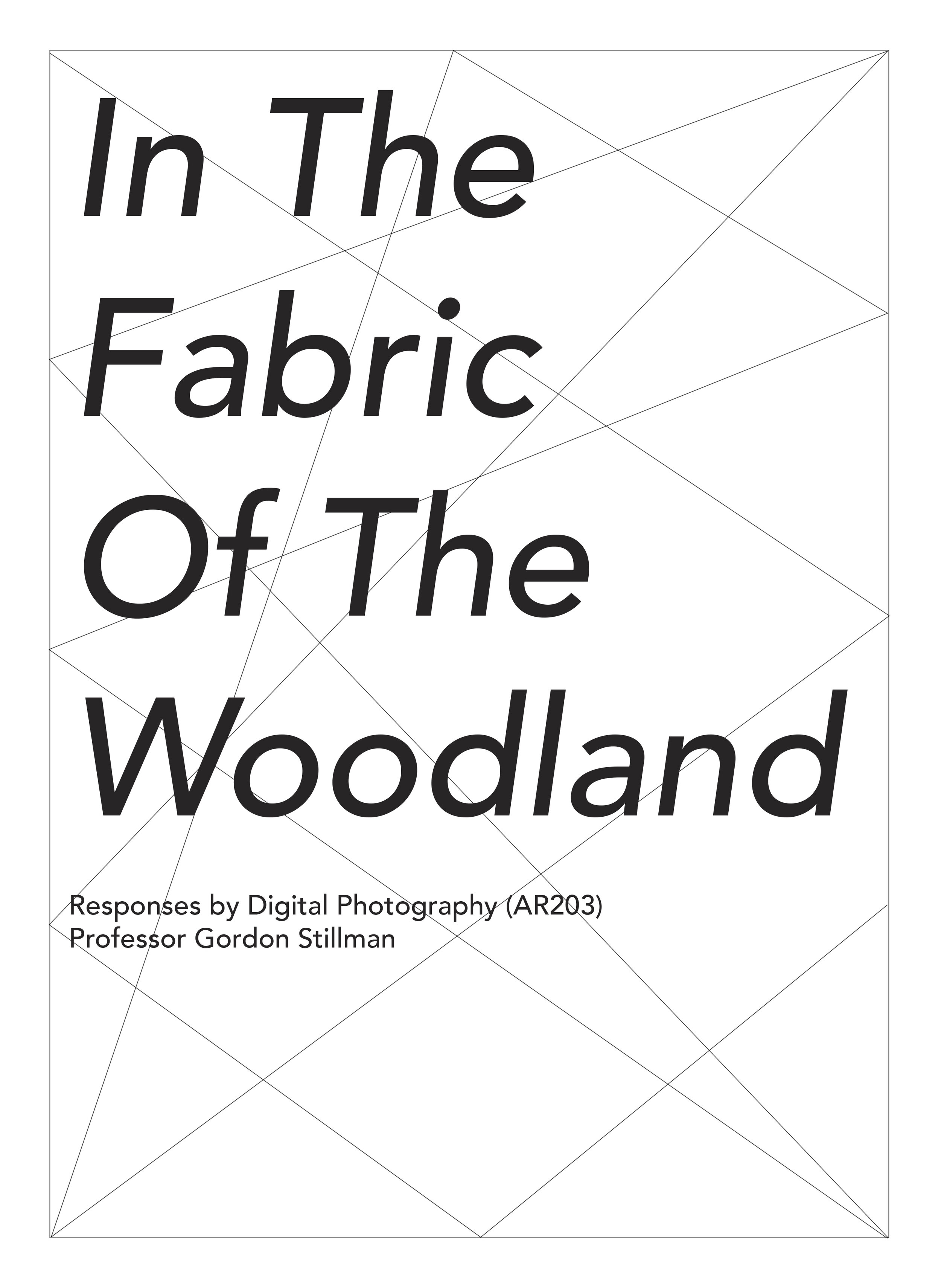 Woodland-Photo-Book 1.jpg