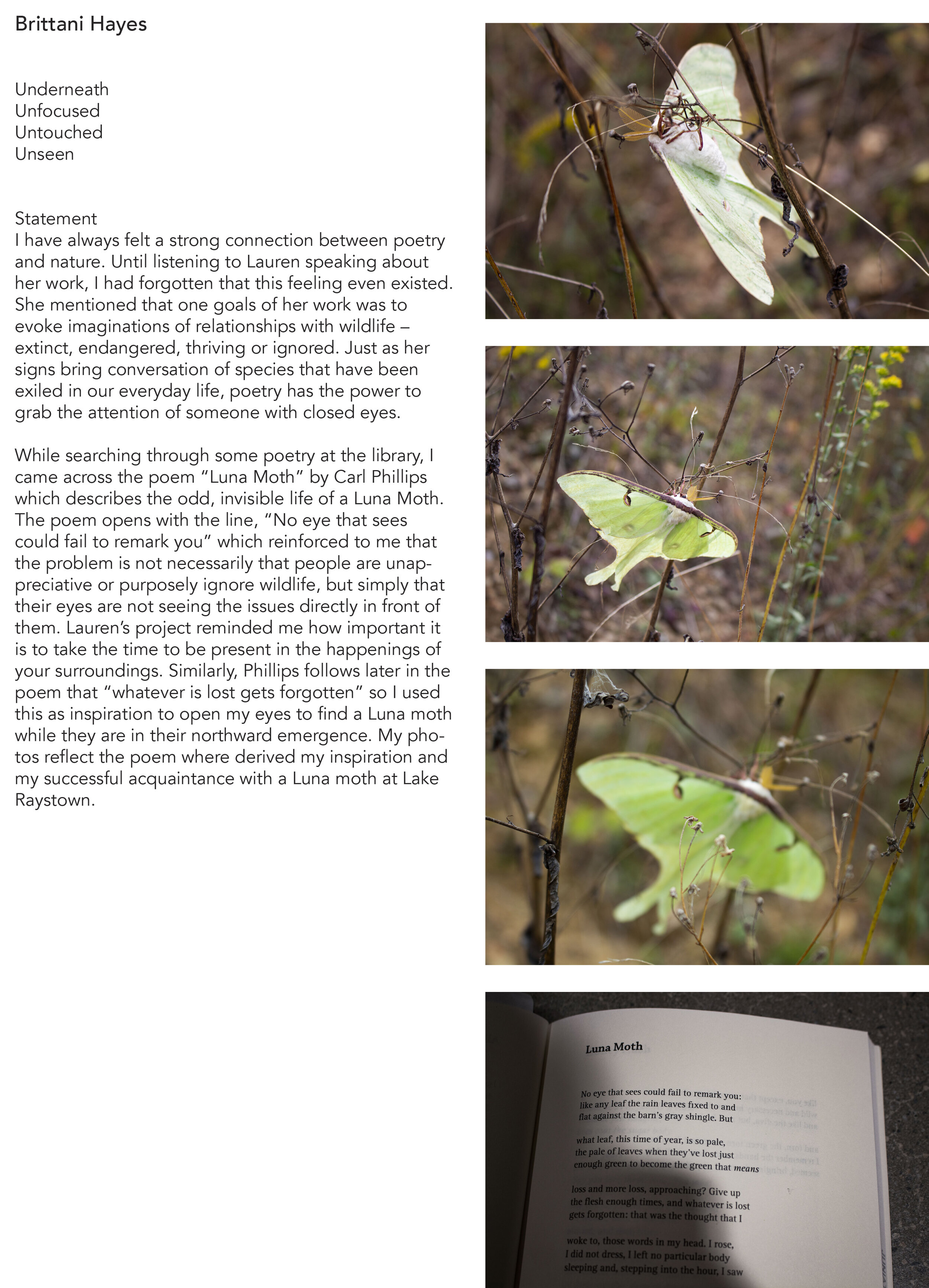 Woodland-Photo-Book 7.jpg
