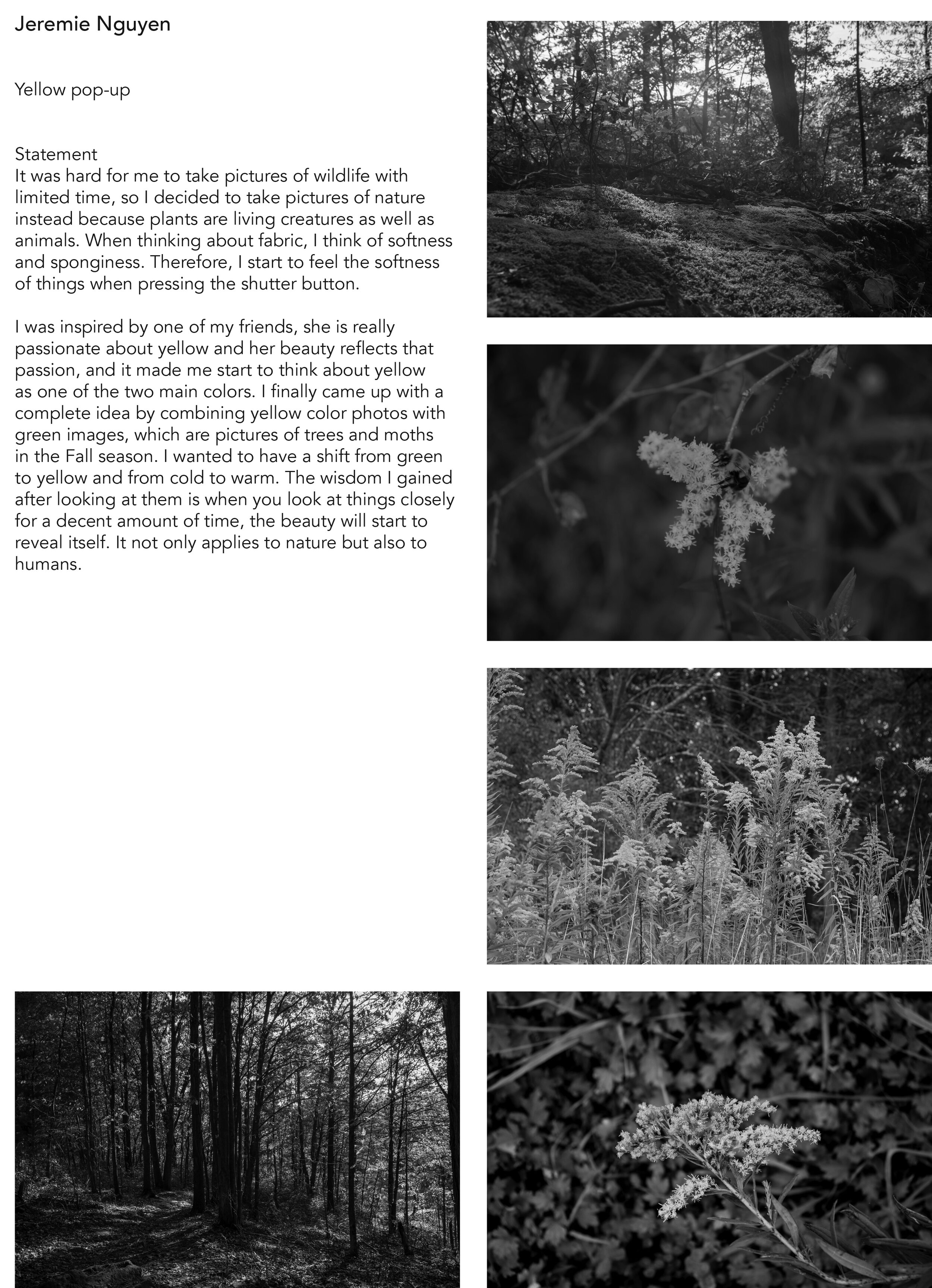 Woodland-Photo-Book 8.jpg