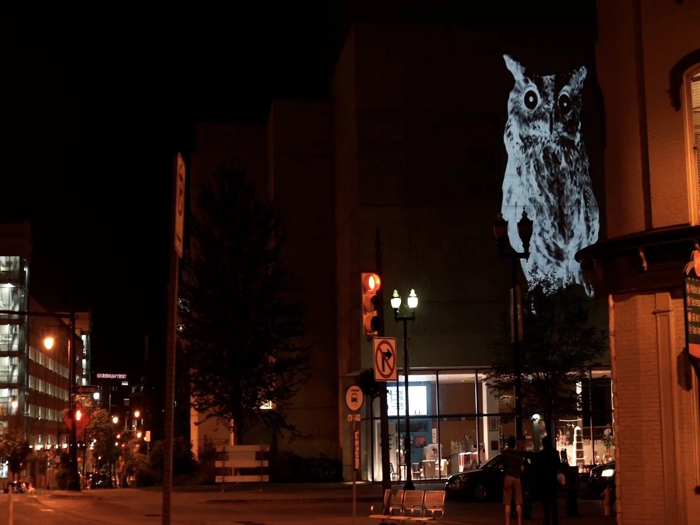 AnimalLand_ArtPrizeX_Still3.jpg