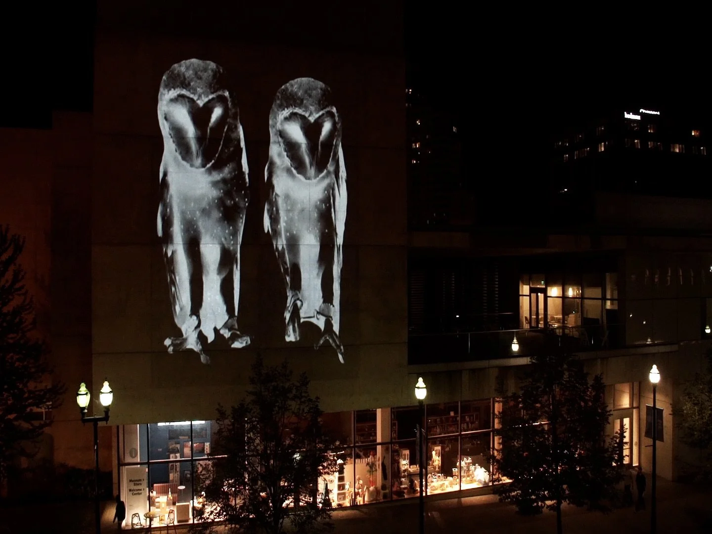 AnimalLand_ArtPrizeX_Still4.jpg