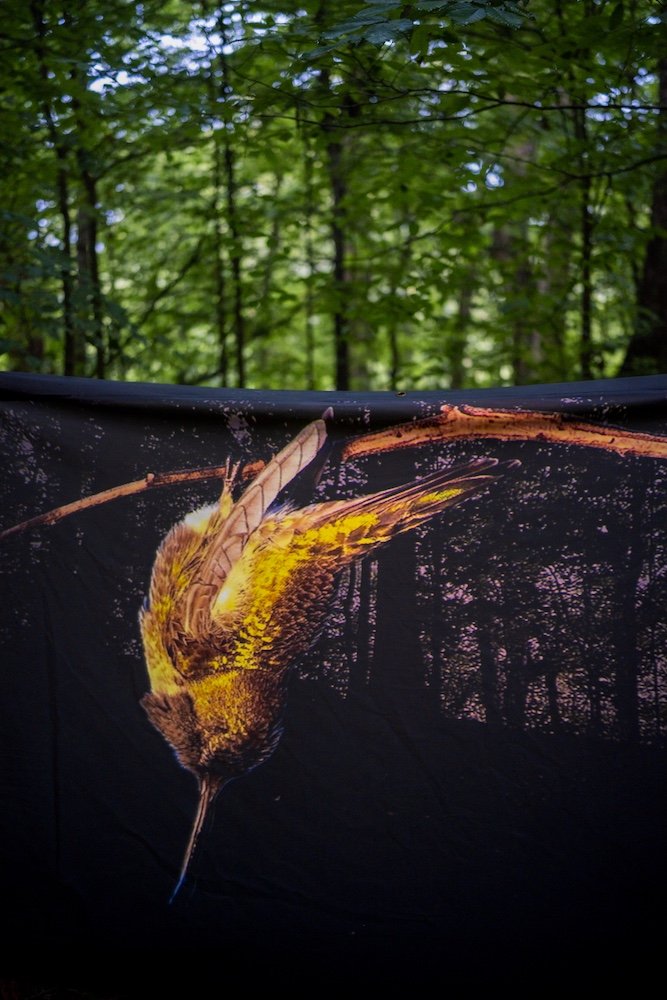  Photo Credit: Misha Shulga |  @abstract_element  