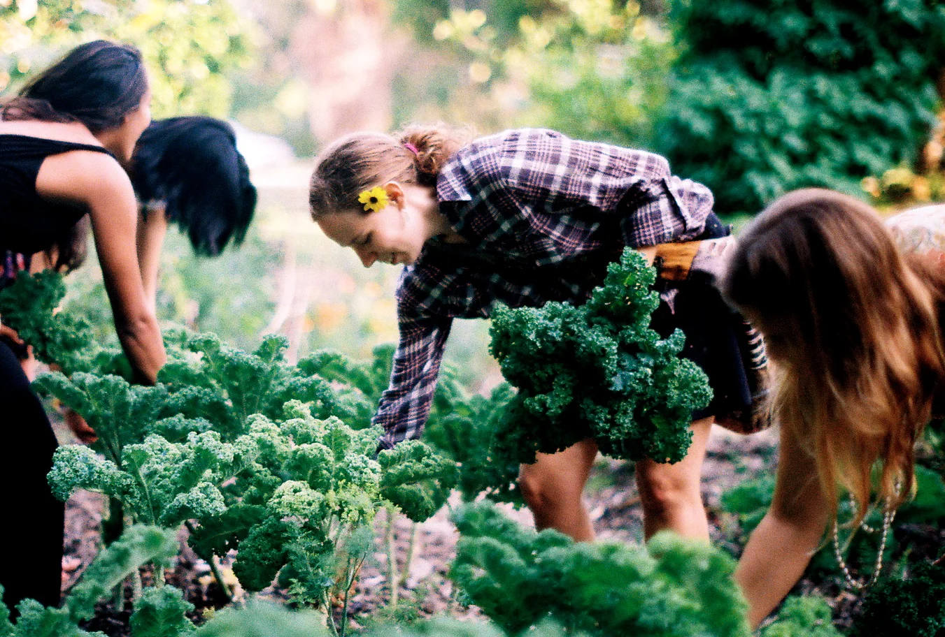 Eat real food. — My Sustainable Table Co. LLC