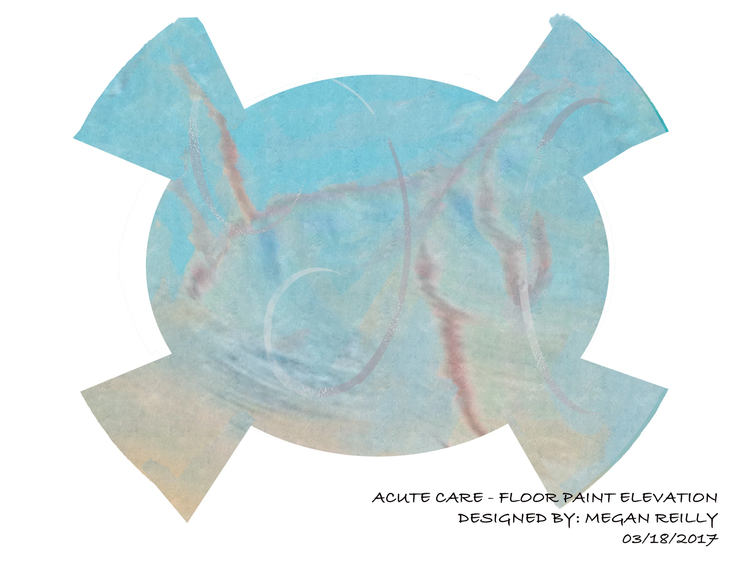 Acute Care Floor Elevation.jpg