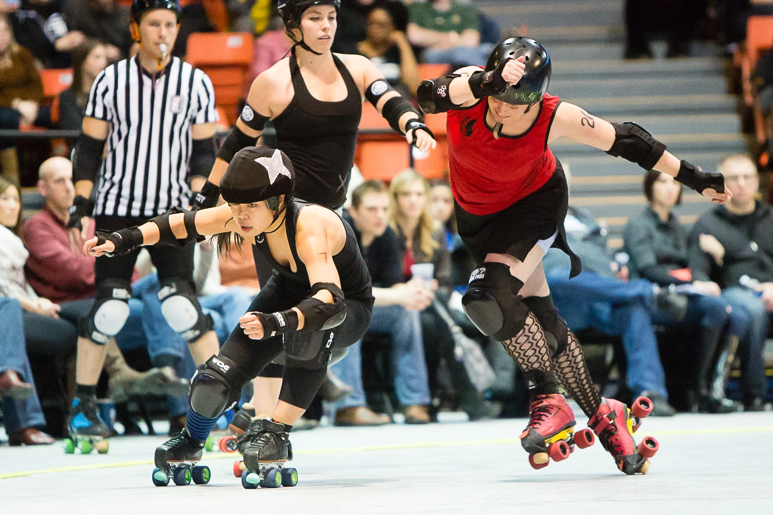  photo by Steve Stearns 