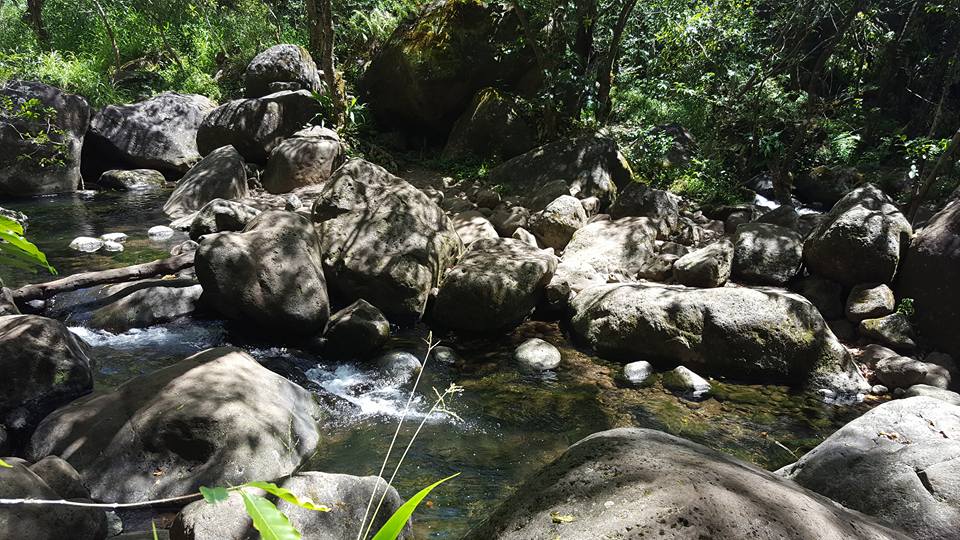 Hanakoa Valley. They say water has healing qualities. No doubt.