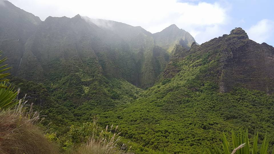 kalalau-trail-hanakoavalley.jpg