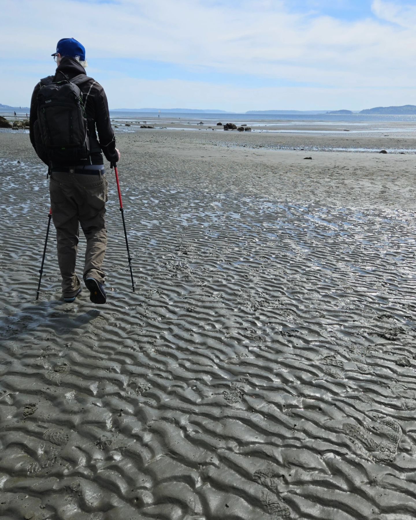 Low tide at Discovery Park was -1.4 feet today, so naturally we had to go and walk out as far as we could. Silly little walks for our silly mental health.