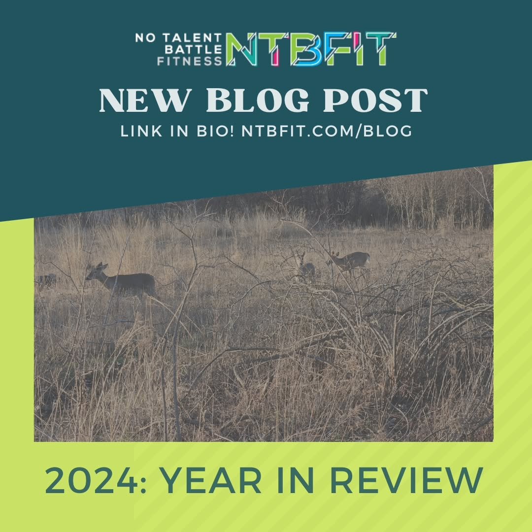 2024 Year In Review. Link in bio.
