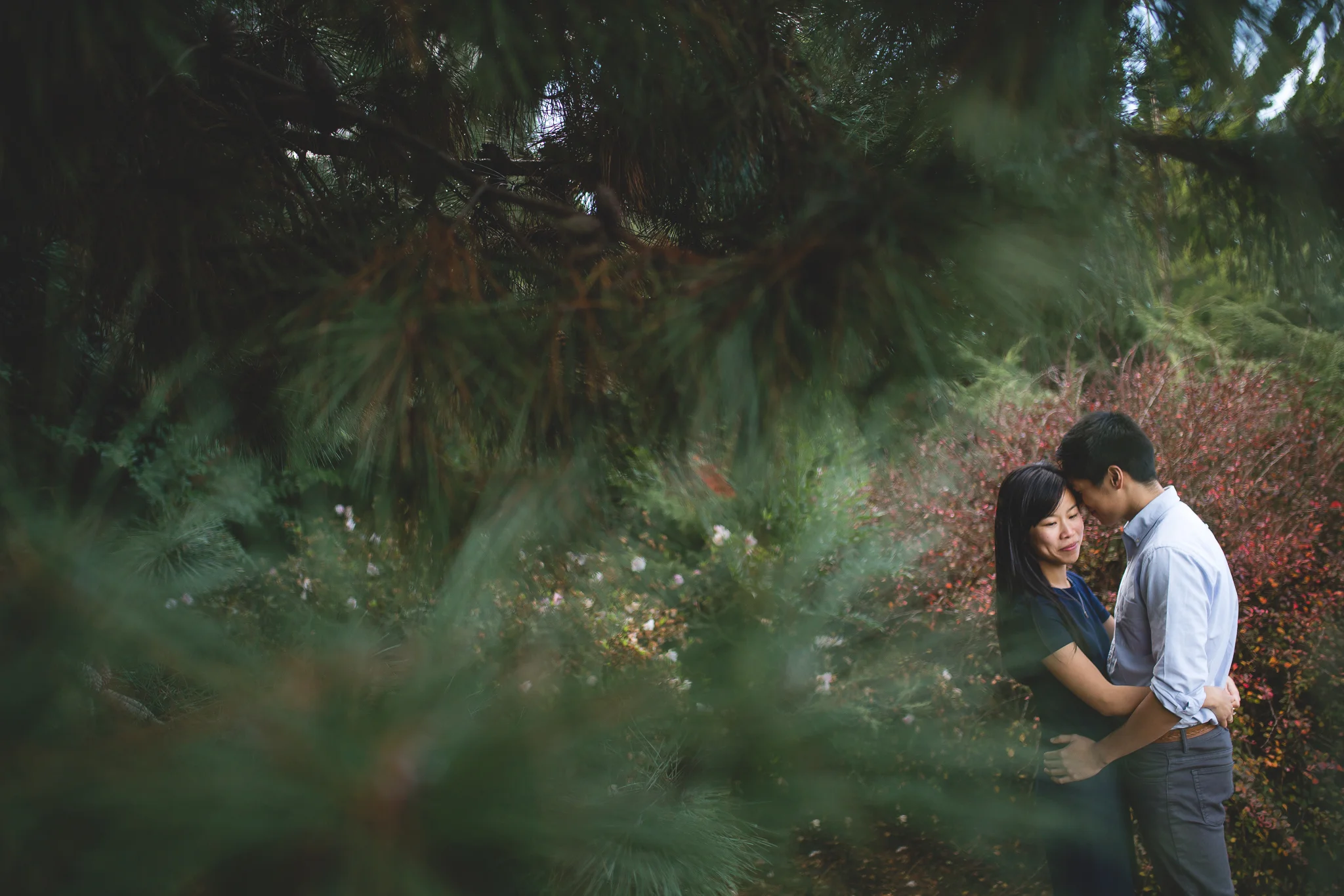 Debra_Chris_Engagements-146.jpg