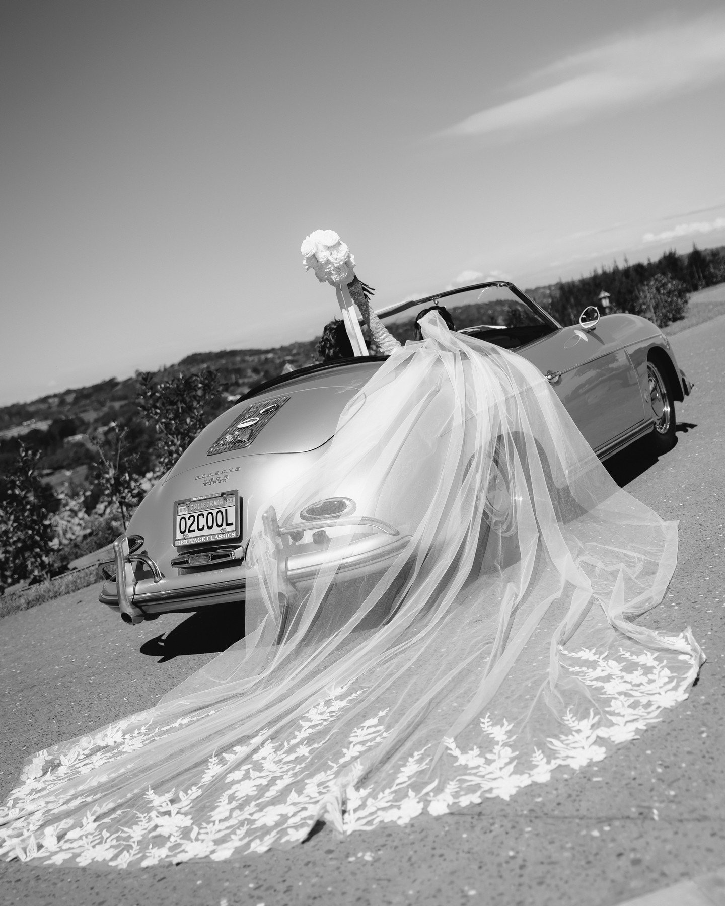 Shoshanna &amp; Mark, Lone Pine Estate, Auckland.⁠
⁠
@wildly.madly.deeply ⁠
@penton.andco⁠
@lone_pine_estate ⁠
@esther.illustration ⁠
@thesandcandlesnz⁠
@lalumiere_nz⁠
@modobooth ⁠
@epicsaxguynz⁠
@rubylou.floraldesign ⁠
@champagnetowers_nz ⁠
@tble__l