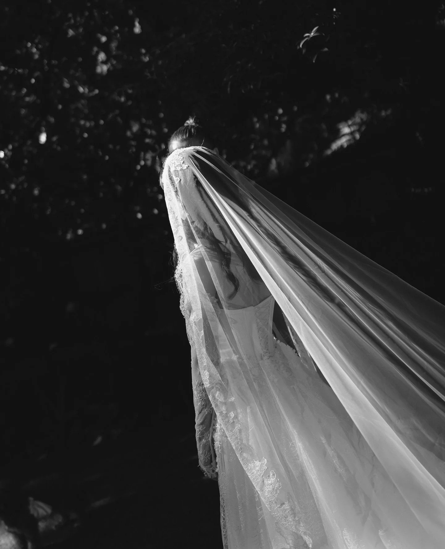 Hillary &amp; Jon, Settlers Country Manor, Auckland. ⁠
⁠
⁠
bride @starrieskies | venue @settlers_country_manor | dress @evalendel @natalierosebridal | suit @workingstylenz | makeup/hair @shinebyjessica_wedding | florist @little.leaf.florals | celebra