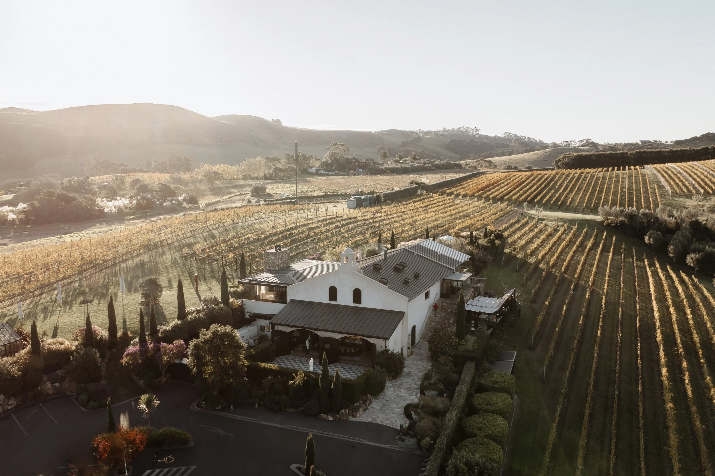 Getting Married at Tantalus Estate - A Photographer’s Guide to a Destination Waiheke Wedding