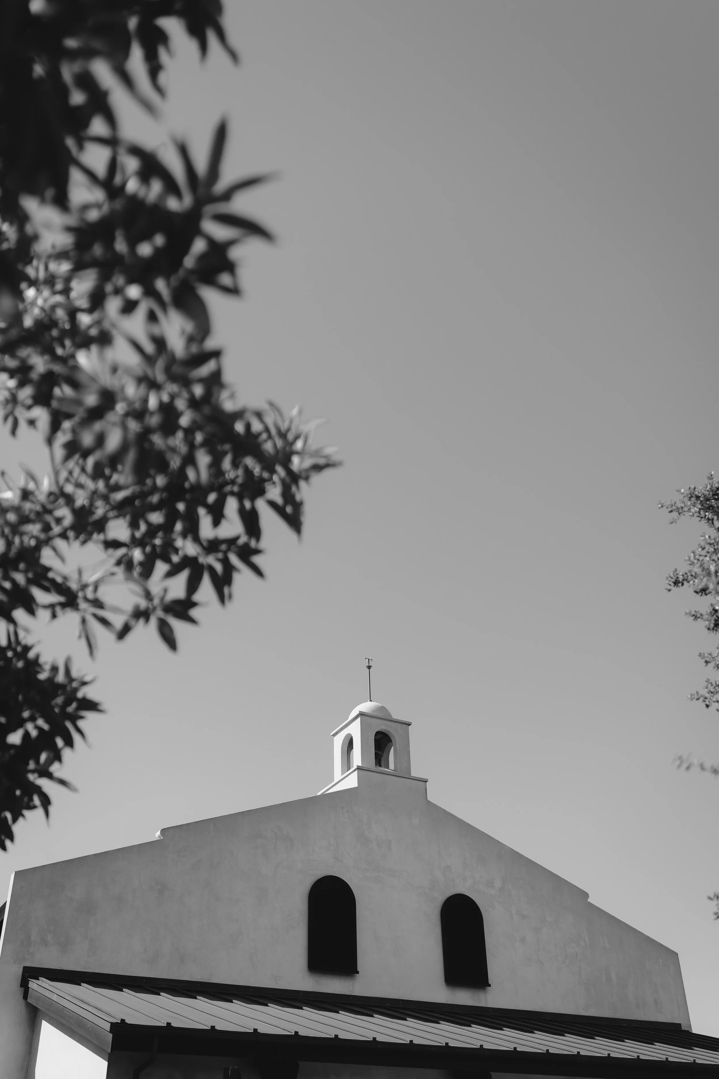 D&ZWeddingB&W-346.jpg