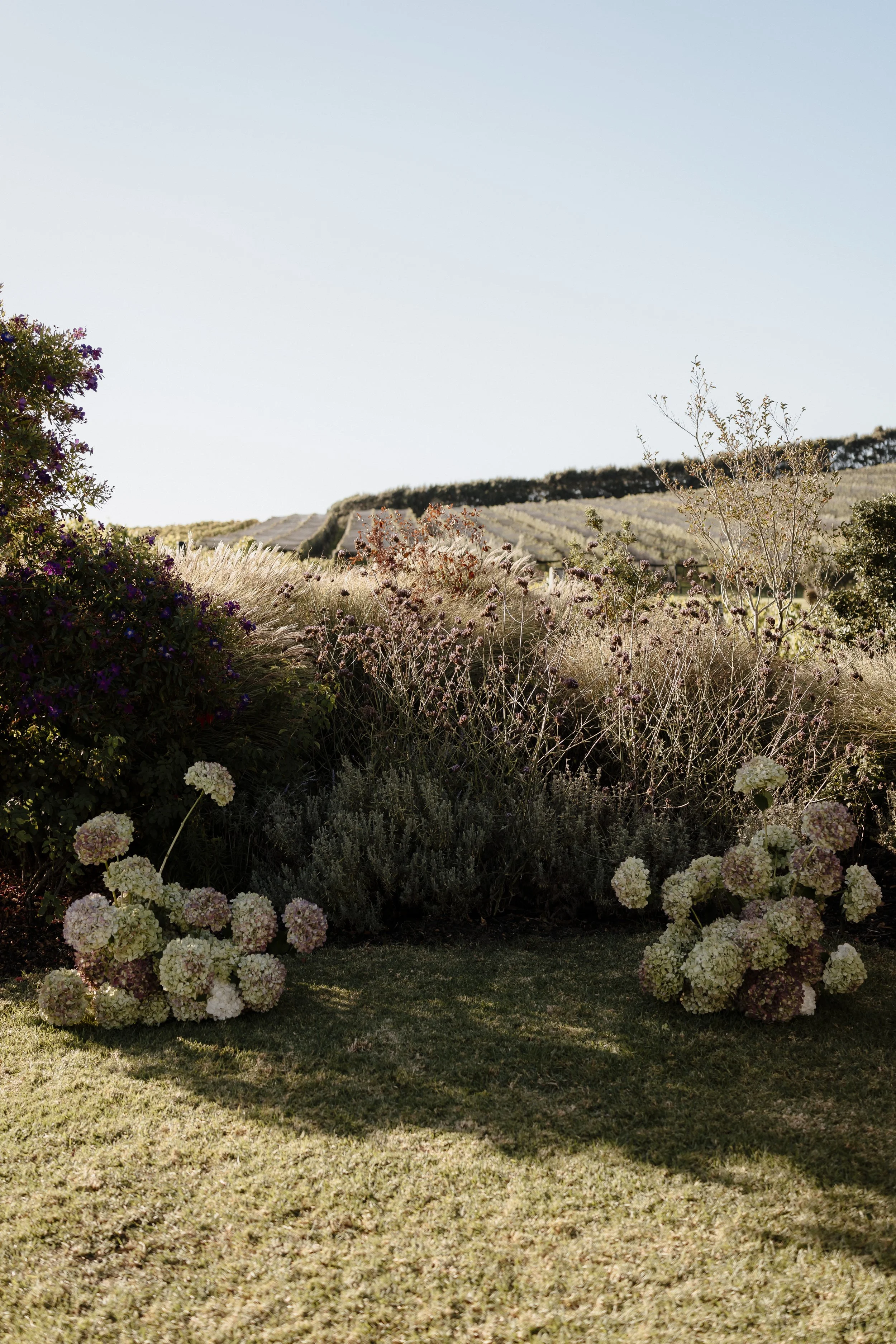 J&JWedding-630.jpg