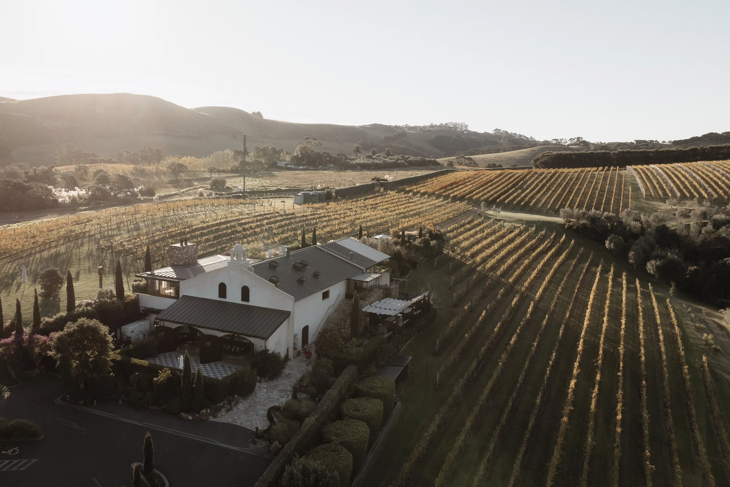 Tantalus Estate, Waiheke on sunset from drone aerial perspective