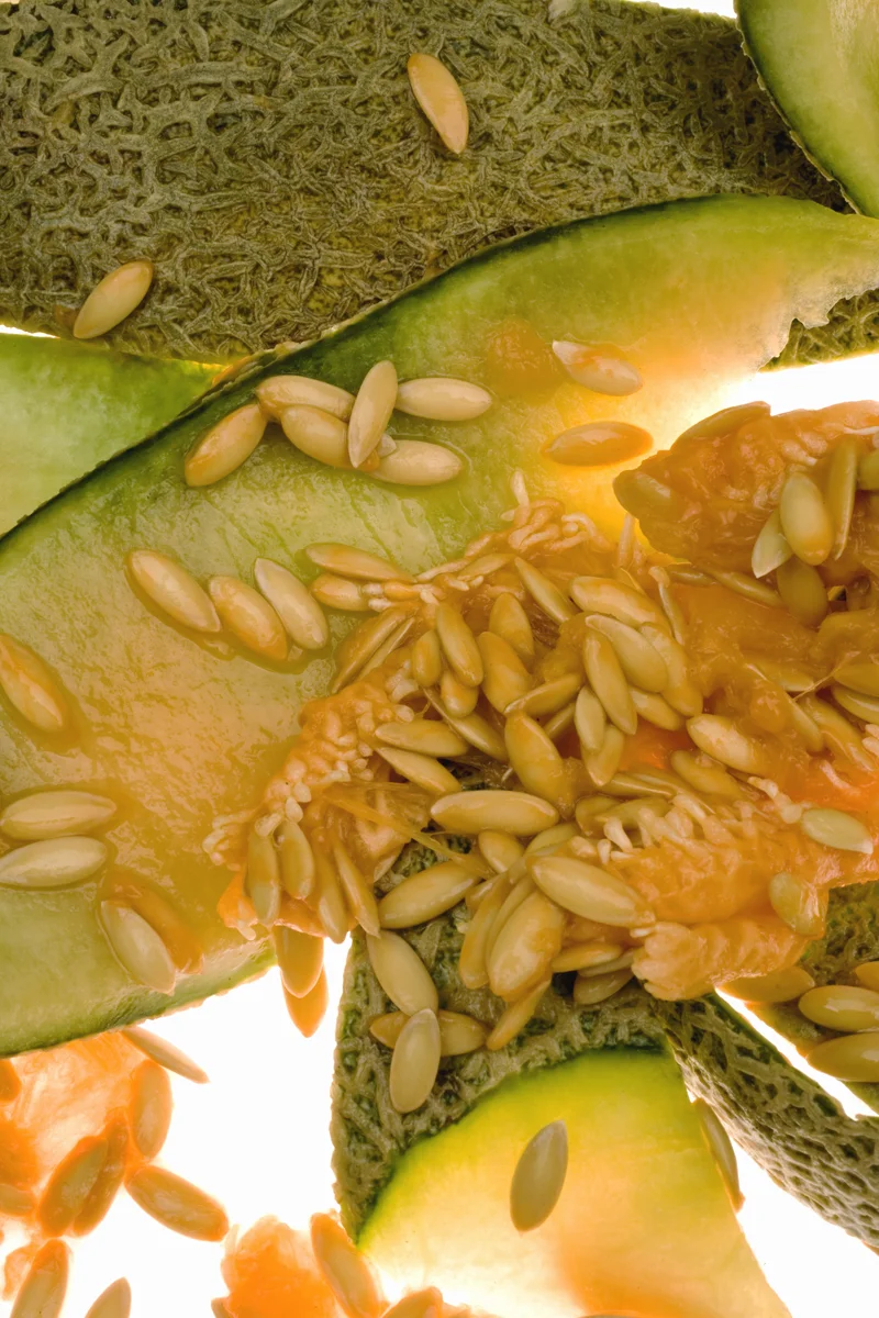 cantalope.jpg
