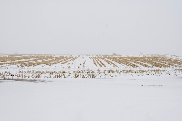 20053_521529480649_4762741_n.jpg