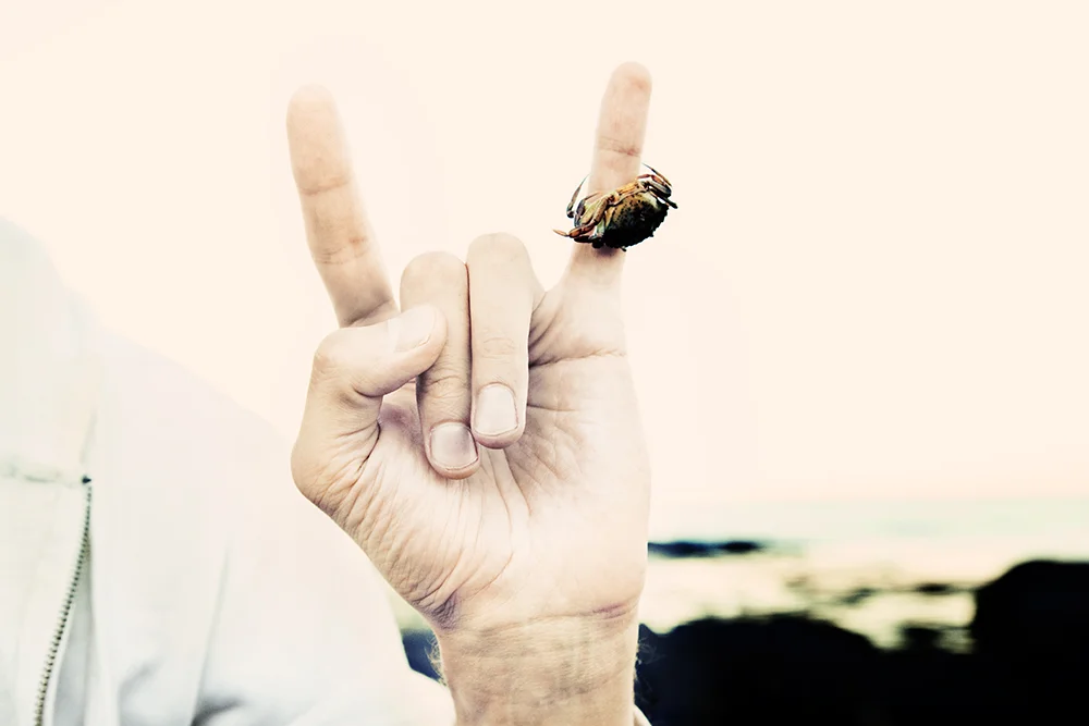 09_crab_rock.jpg