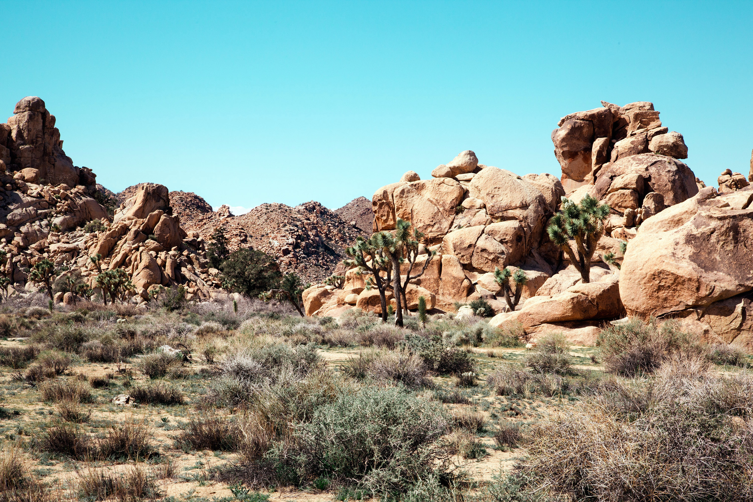 untitled shoot-4218.jpg