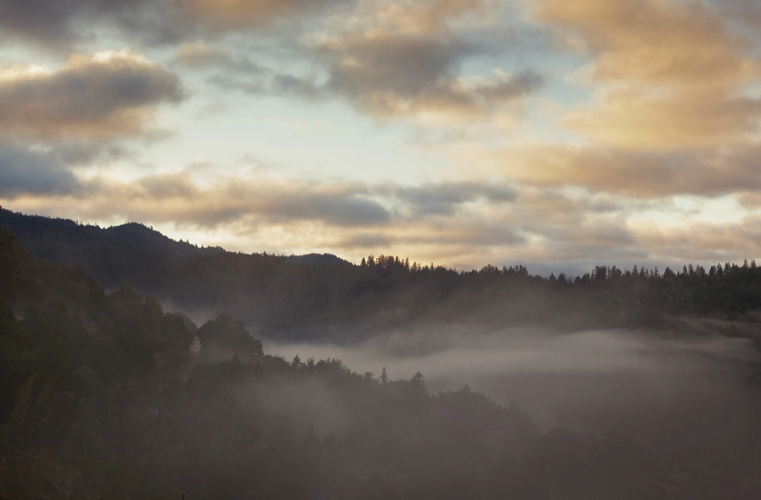 humbolt (11 of 112).jpg