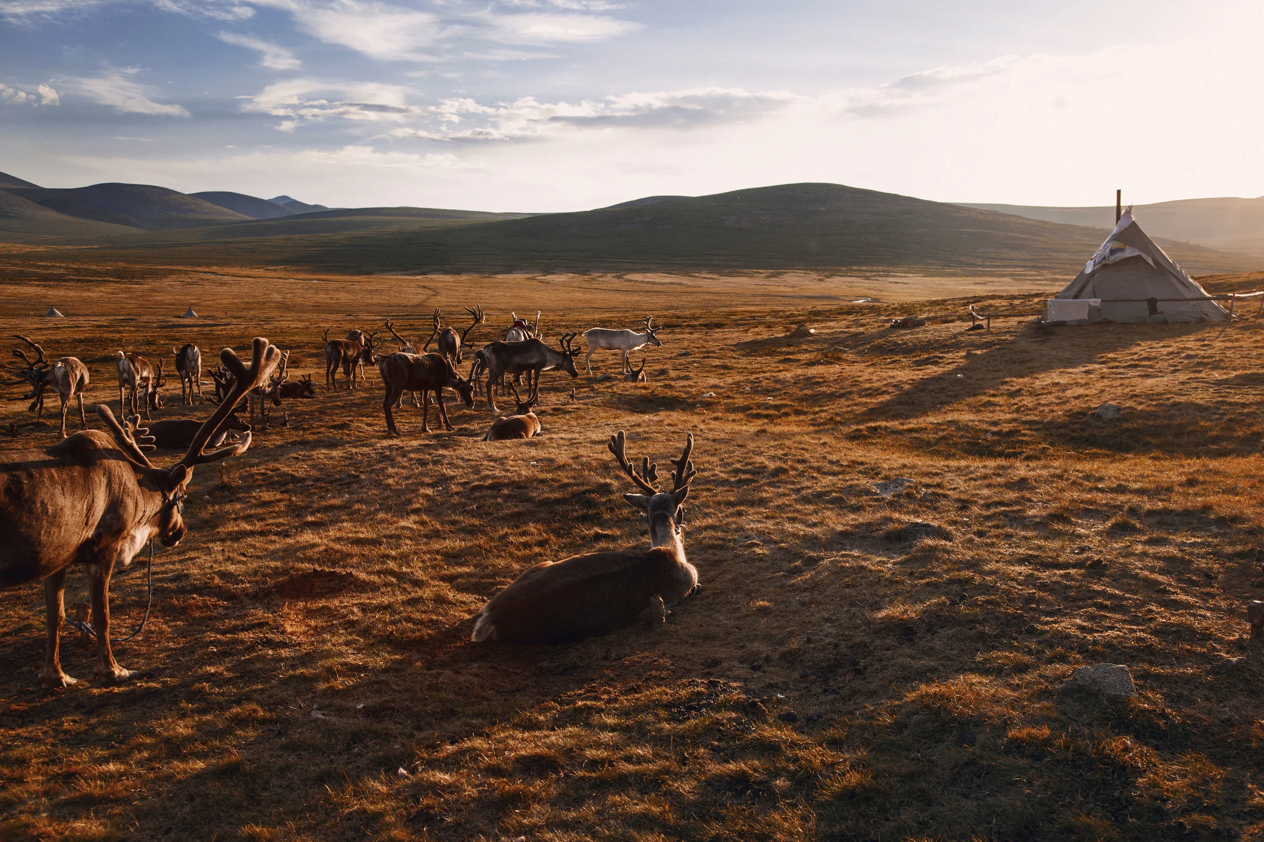 24JennieRoss_Mongolia(149 of 286).jpg