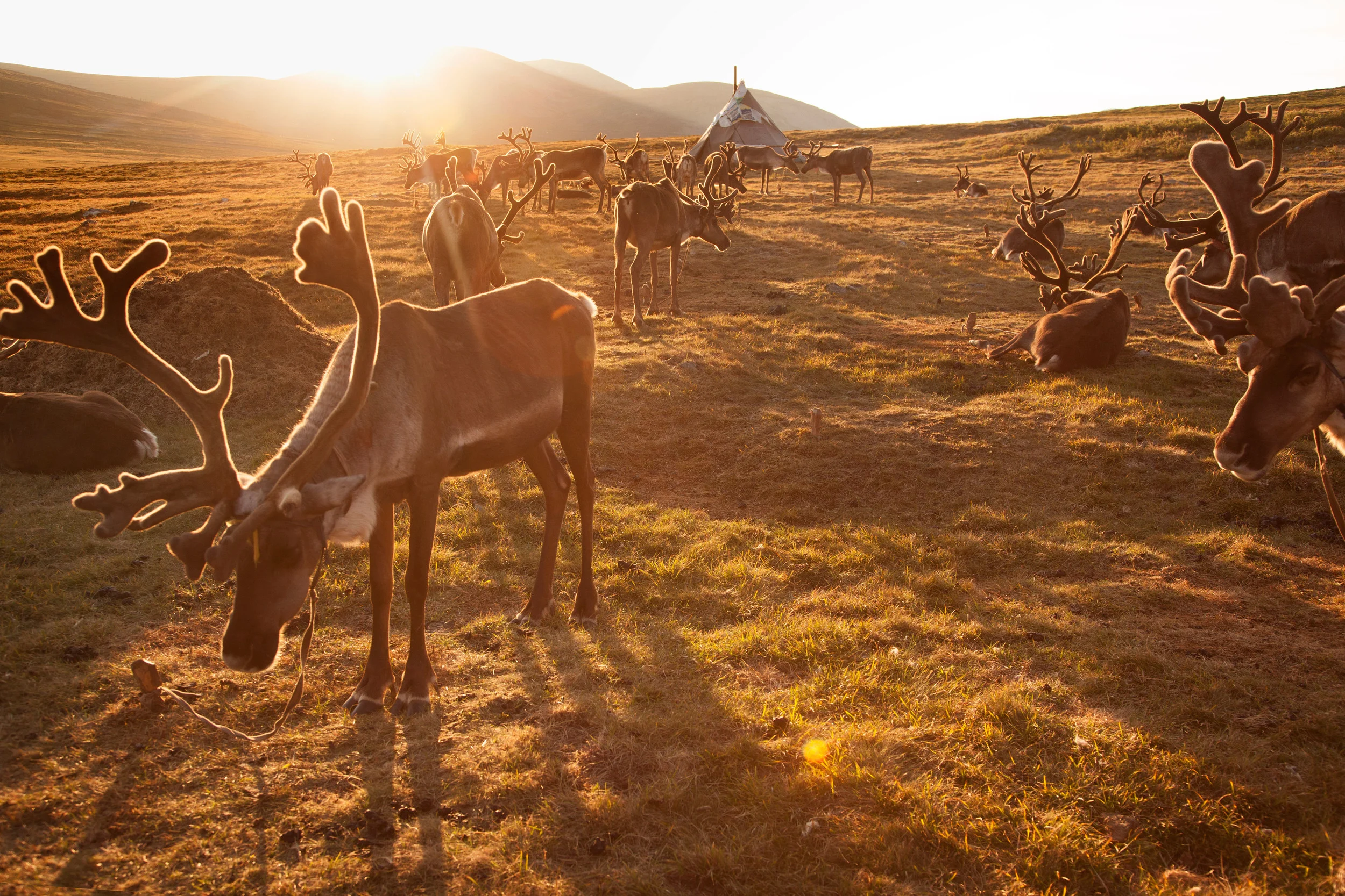 27JennieRoss_Mongolia(178 of 286).jpg