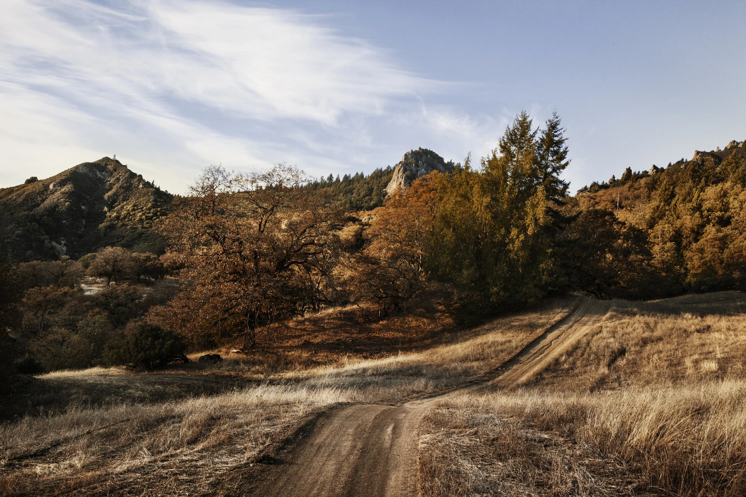 humbolt (59 of 112).jpg