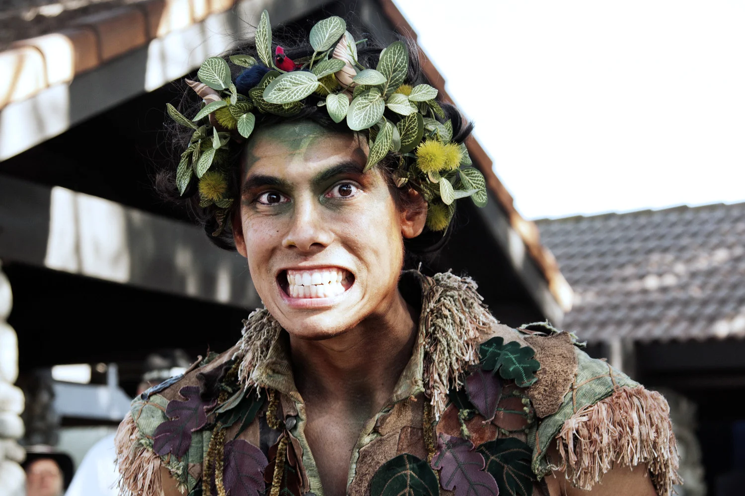 jennie_ross_vice_renfair_8e099b.jpg
