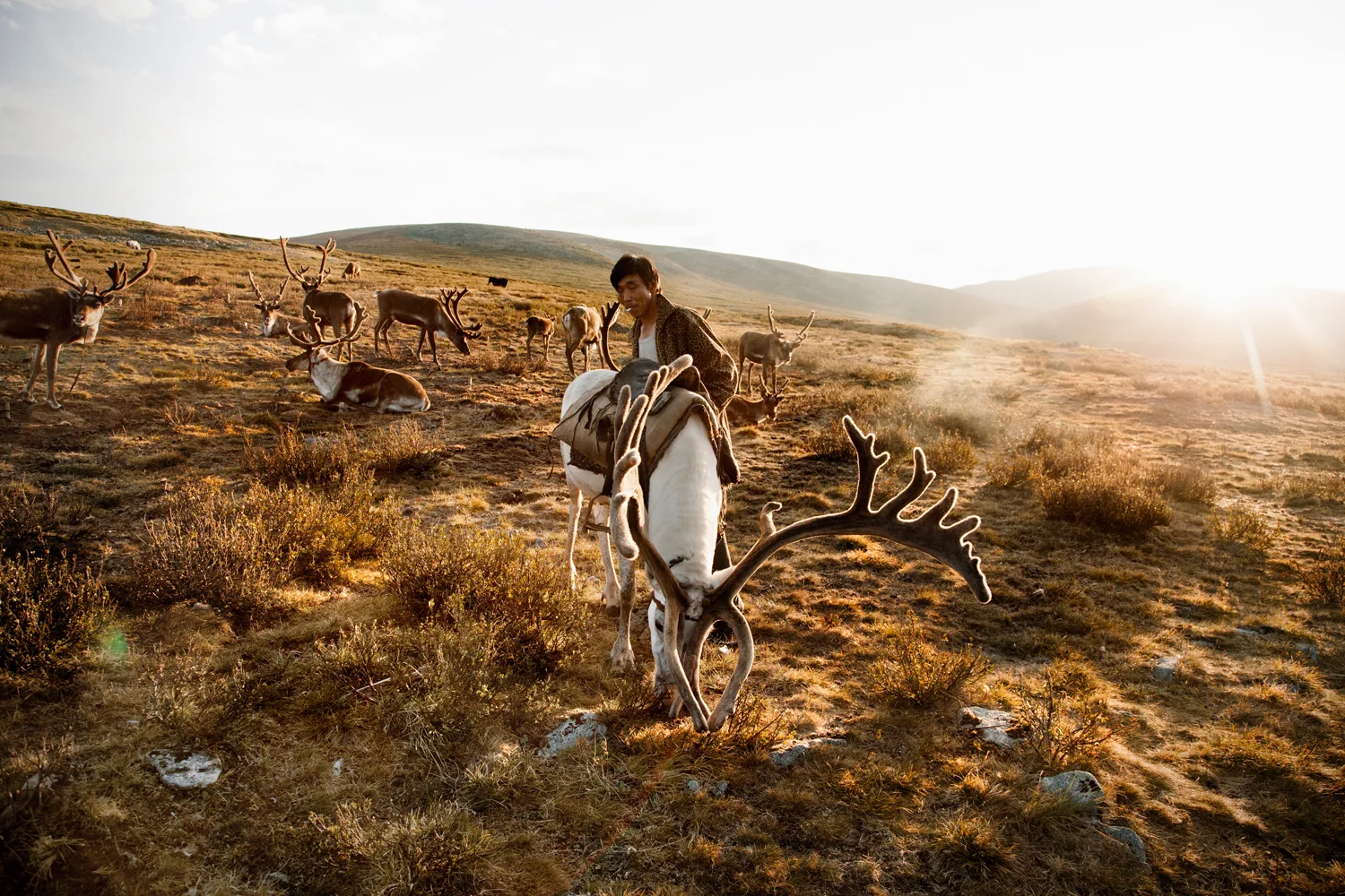 35JennieRoss_Mongolia(226 of 286).jpg