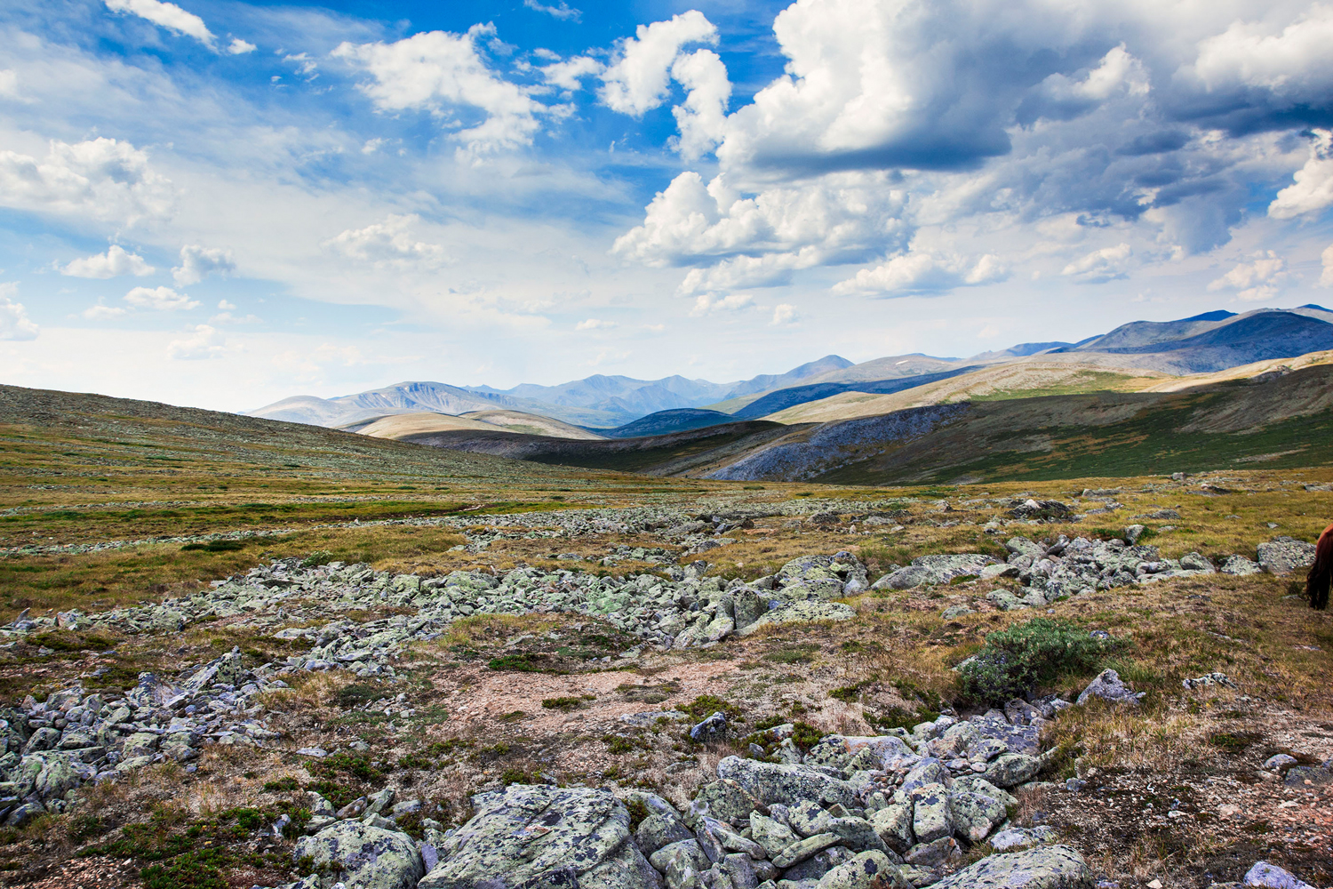 JennieRoss_mongolia_basin_valley1.jpg