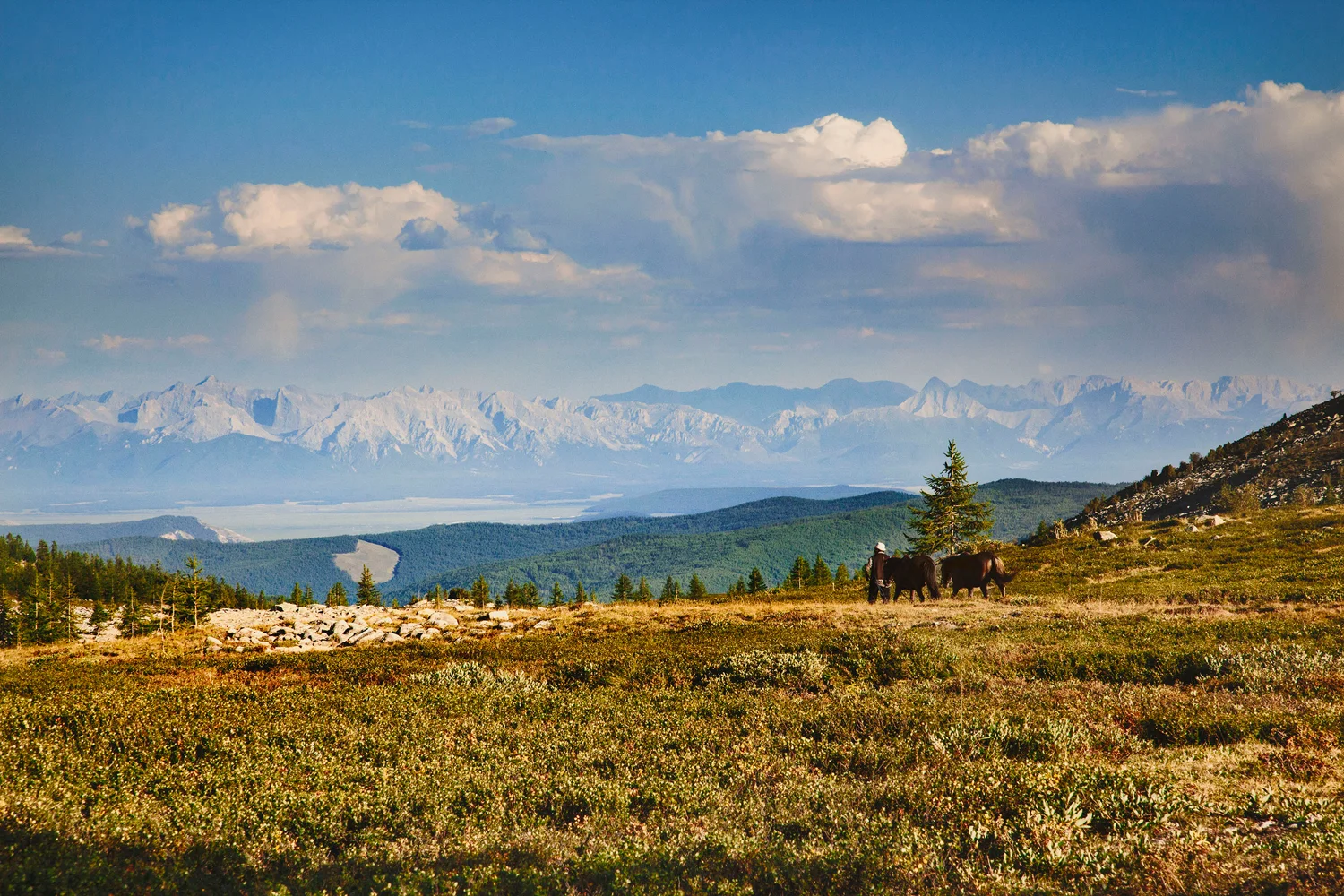 JennieRoss_mongolia(20 of 110).jpg