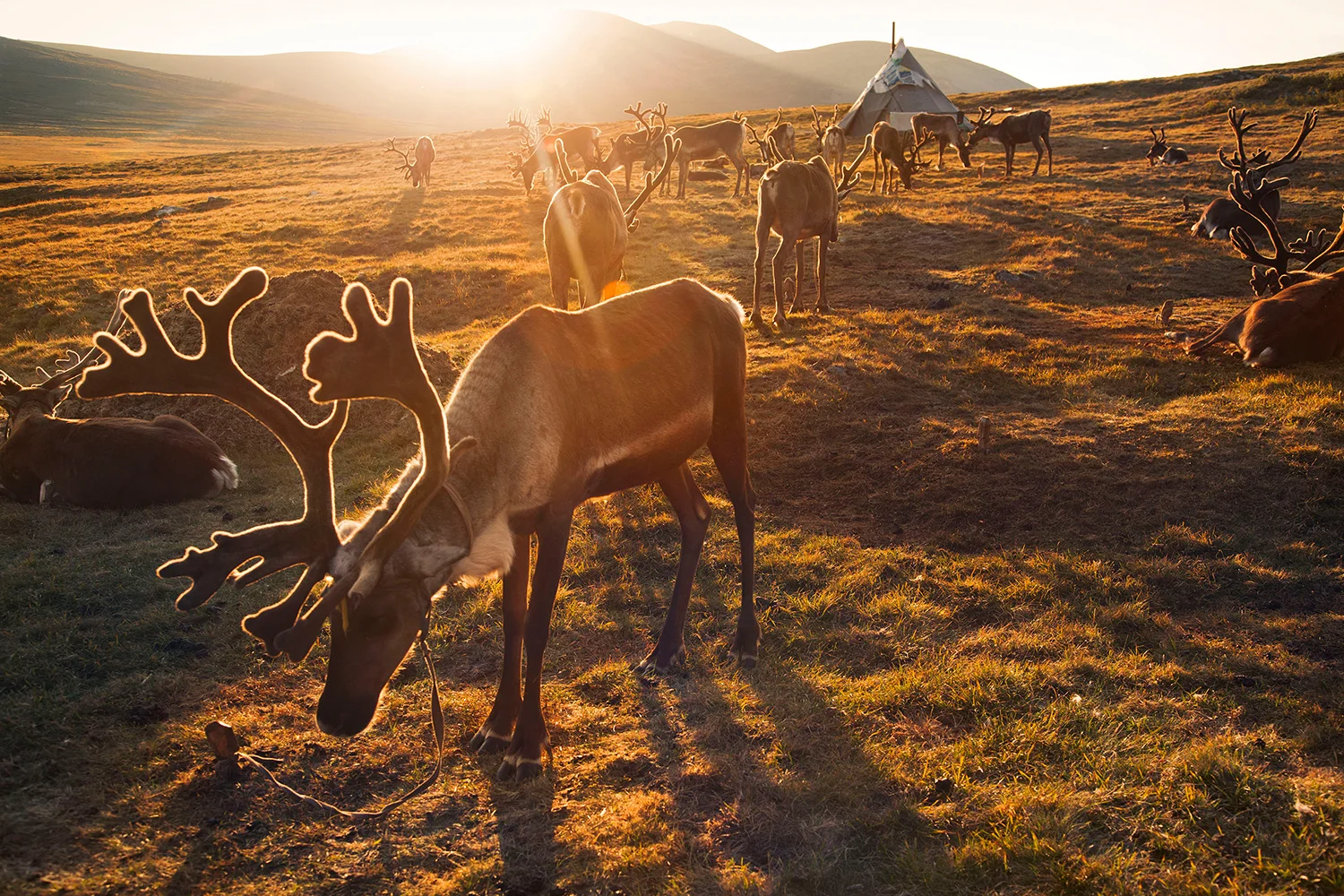 JennieRoss_mongolia(176 of 286).jpg