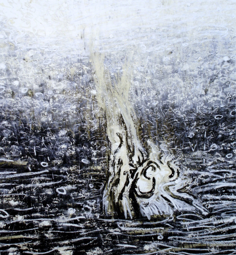 Creation Concerto (Flowering Desert Campfire) RS.jpg