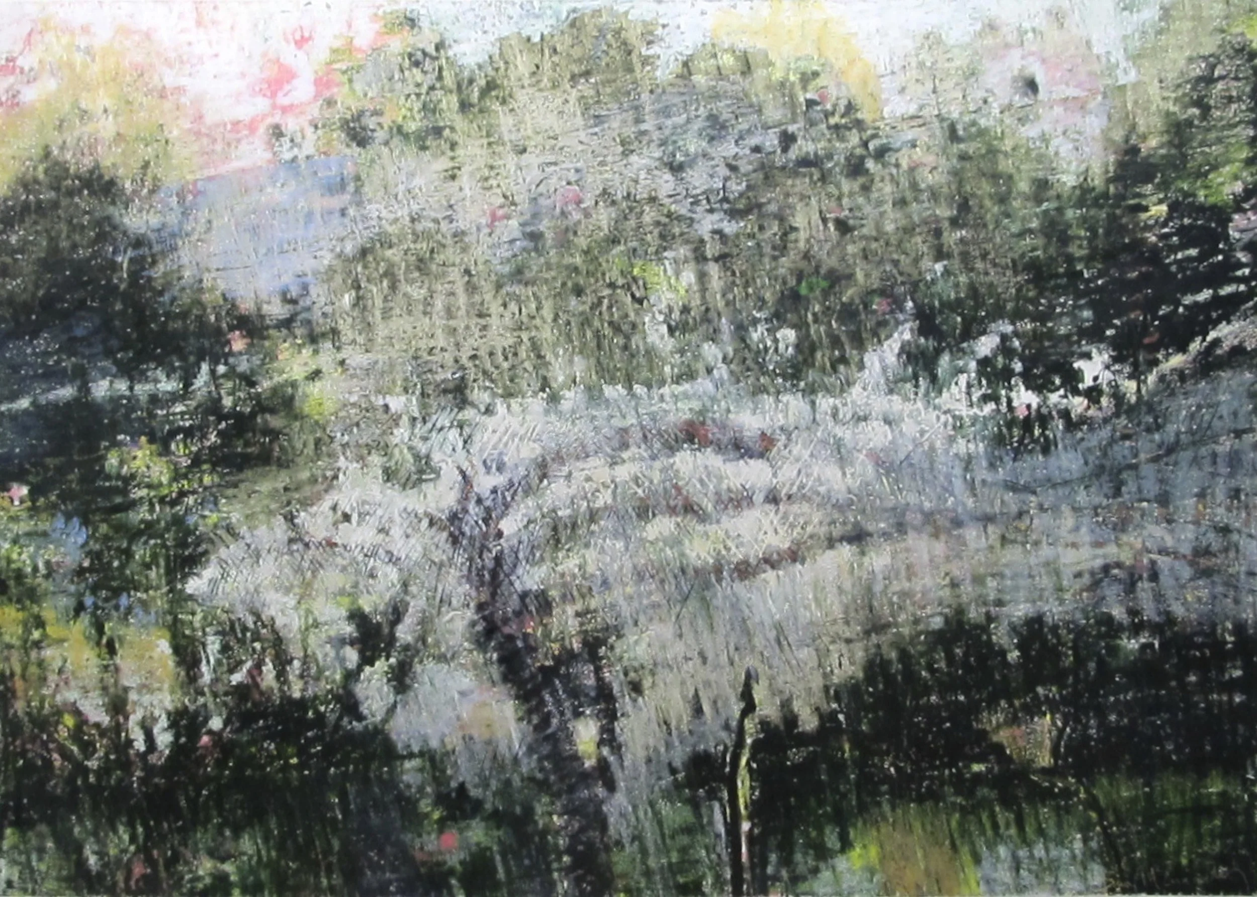 Chrysalis (The Netted Plum) Winner 2012 Paddington Art Prize