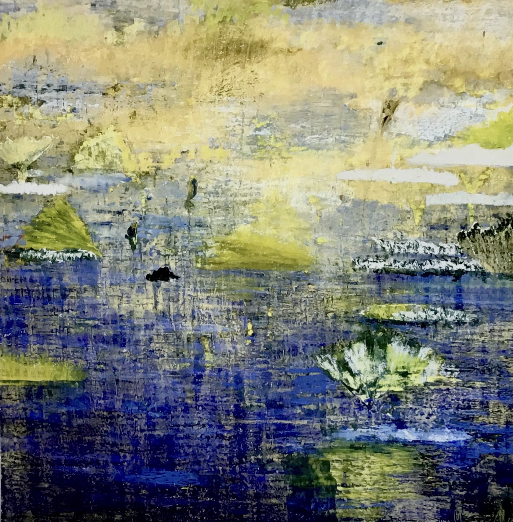 Tropic Wetlands